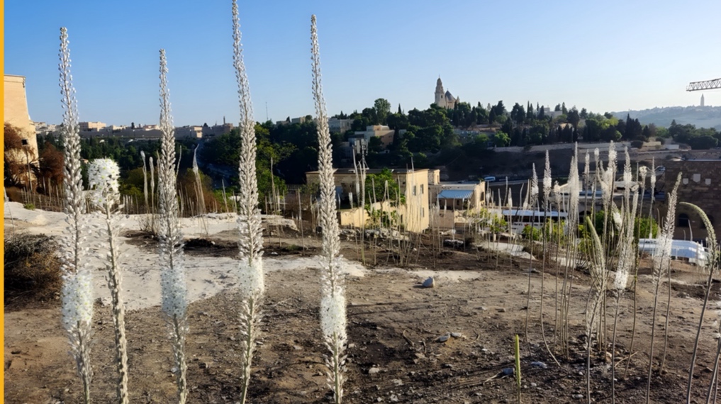 חצבי גבעת התנ״ך מול נוף הר ציון