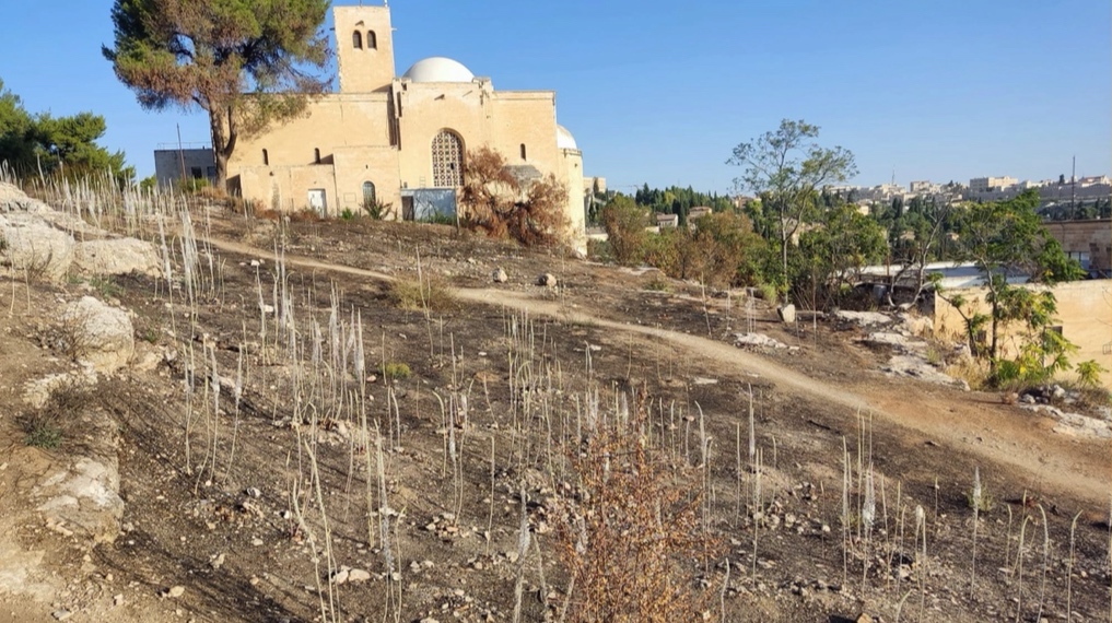 חצבי גבעת התנ״ך מול נוף הכנסייה הסקוטית שבראש הגבעה