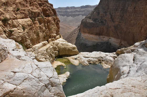 בירכת צפירה בנחל צאלים בחלקו העליון מלאה במים - דרום מדבר יהודה