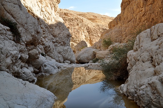גב מלא במים בנחל משמר - מרכז מדבר יהודה