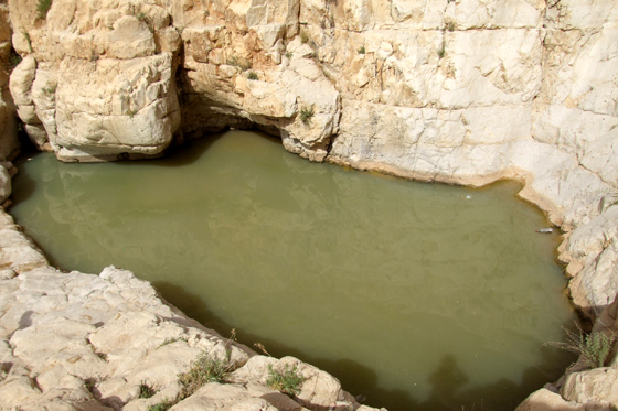 גב קינה מלא במים לאחר שיטפון - דרום מדבר יהודה
