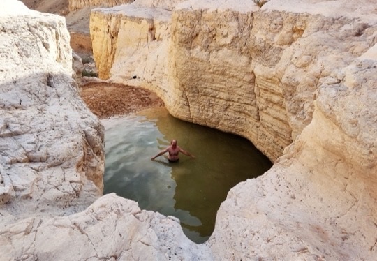 גב חצרה מלא במים לאחר שיטפון - צפון הערבה