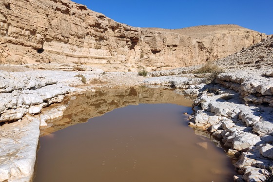 גב מים בראש מפל קטורה - מרכז הערבה