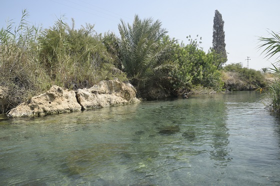 הנביעה הצלולה של עין מגדל בנחל הקיבוצים בפארק המעיינות