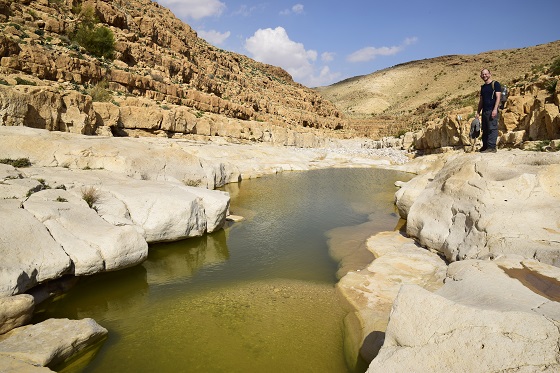 גב ארוך מלא במים בנחל צאלים עליון - דרום מדבר יהודה