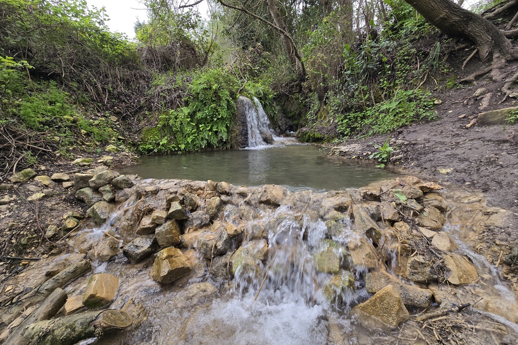 טיול מעיינות ברמות מנשה, אל ערוץ האולמוסים