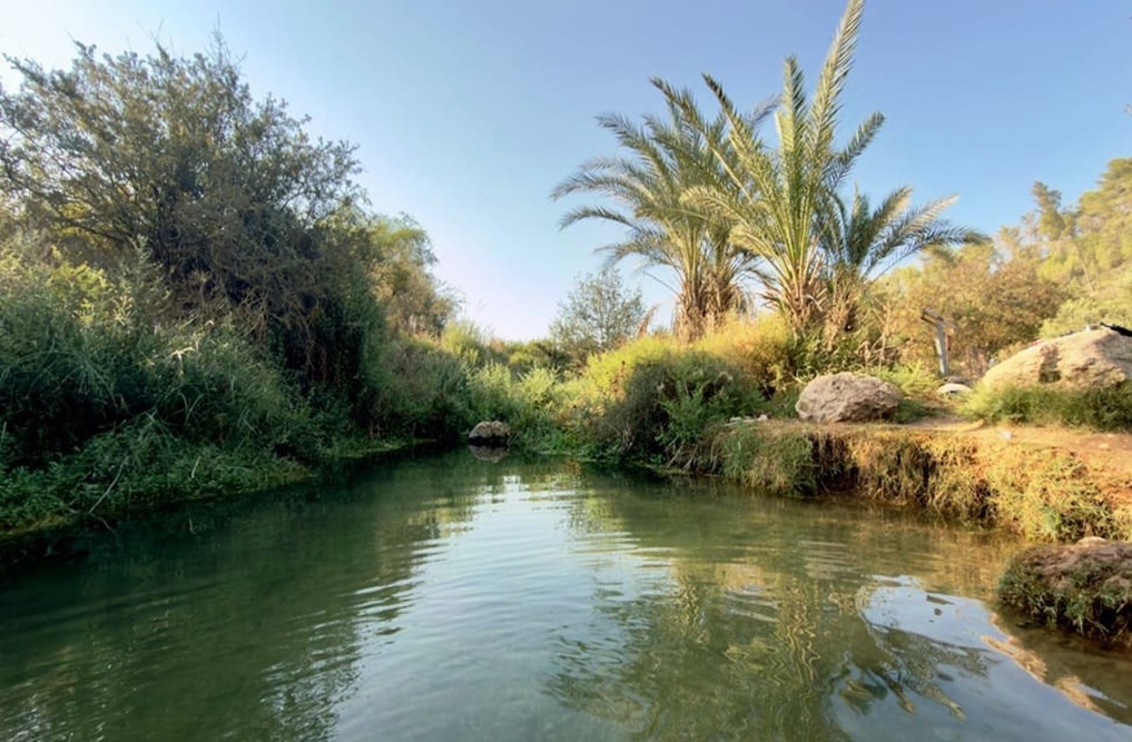בריכת צאנן בנחל גוברין