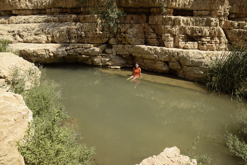 מסלול נחל פרת עליון - בריכת החרוב