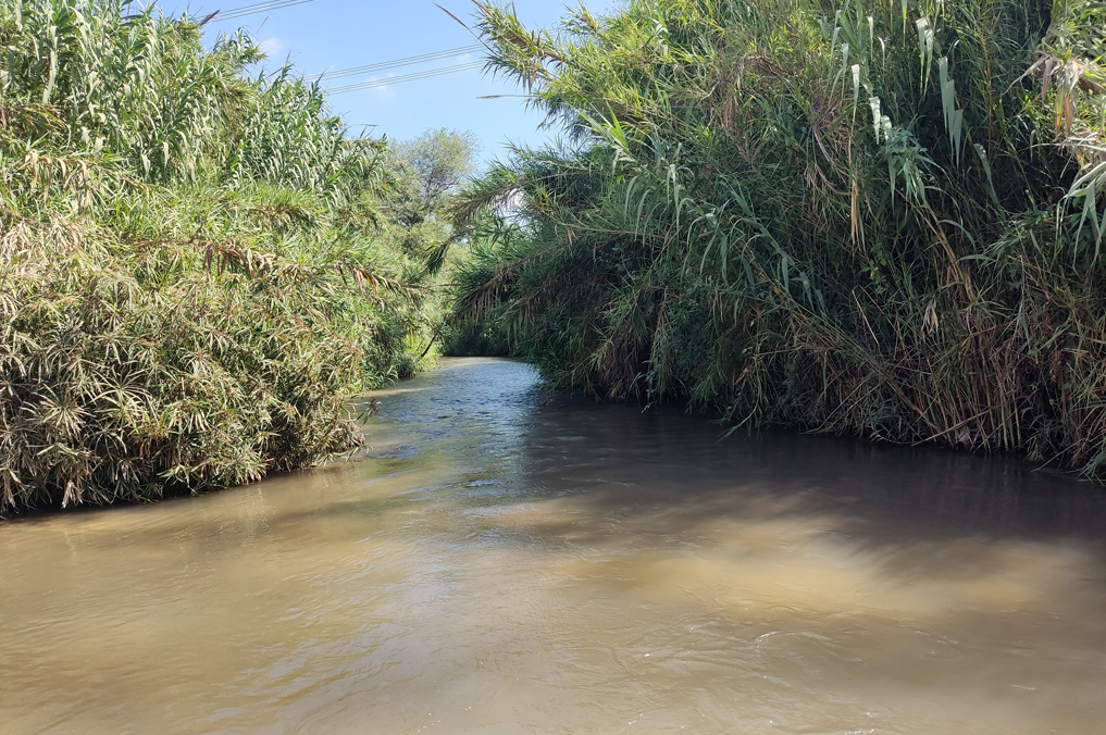 טיולי מים למשפחות: מקטע הליכה במי נחל הירקון הרדודים סמוך למחלף ירקונים
