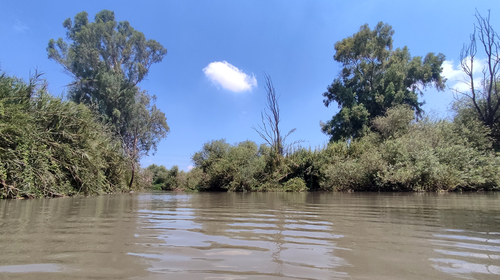 הולכים במים משתכשכים ומתקררים: הלגונה בנחל הירקון בה נכנסים למים לתחילת מסלול האבובים בנחל הירקון