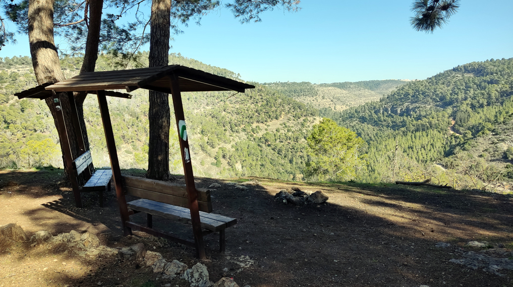 חורף של נוף פתוח: ספסלי פיקניק צופים מזרחה אל הרי יהודה ממצפה נחל כסלון