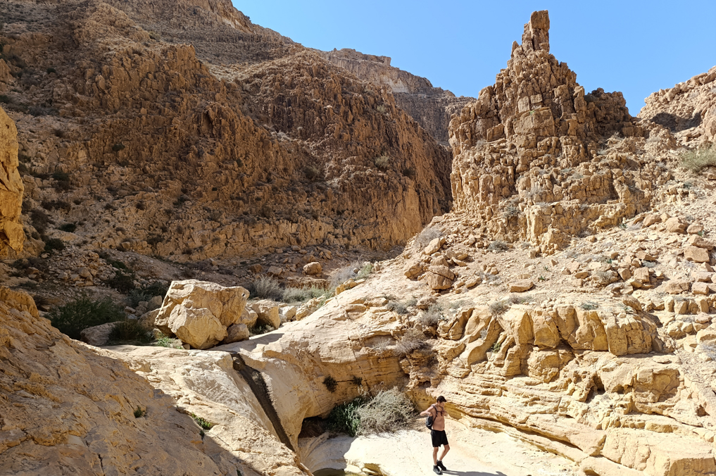 🏜️ חוזרים למדבר! מסלול פראי ולוהט בצפון הנגב 🔥