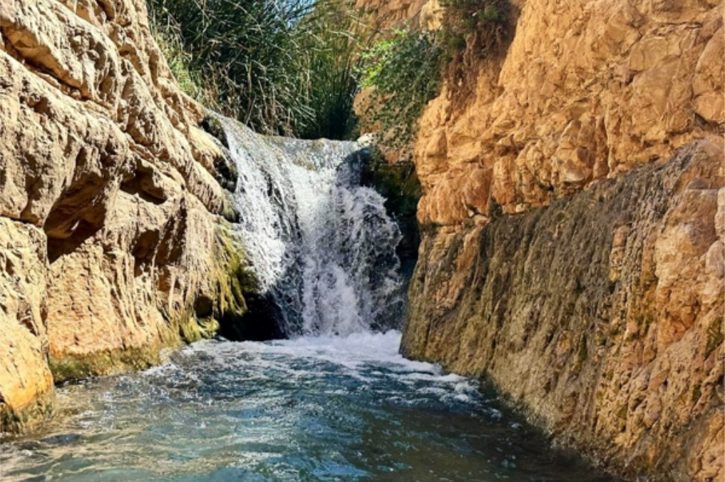 נחלים ומעיינות במדבר: מסלולי מים קסומים בדרום לסתיו 2025 - נקיק נסתר, מפל ונחל בזרימה בנחל פרת עליון