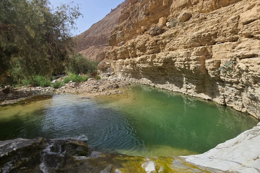 הבריכות העליונות בנחל ערוגות מלאות מים, צילום: מאיה שגב