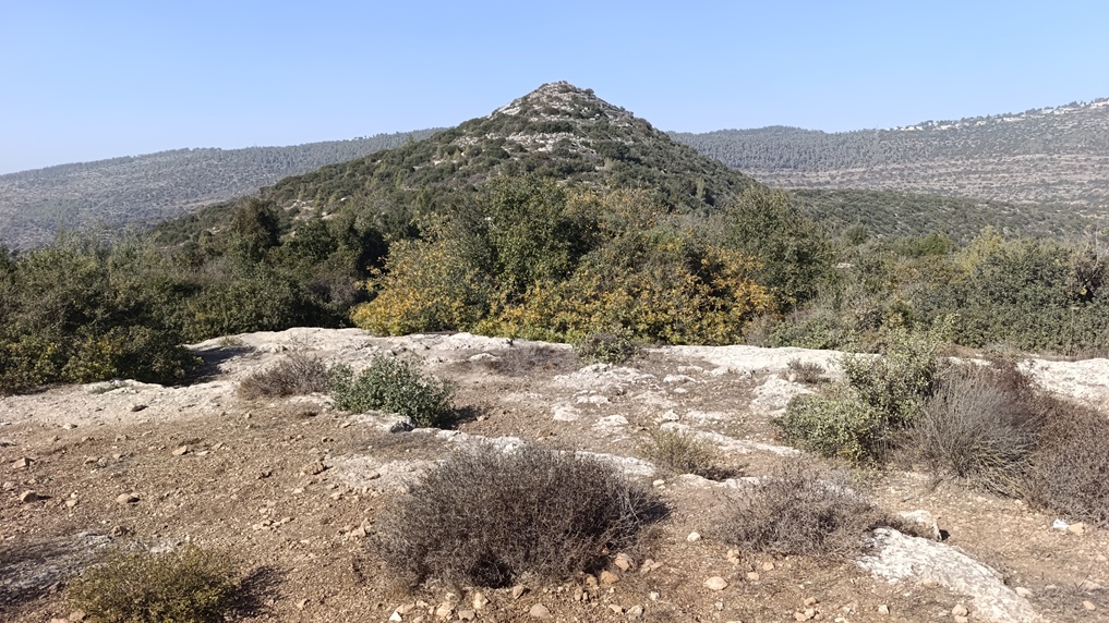 חורף של נוף פתוח: המראה הנשקף במסלול הנוף מעל נחל שורק