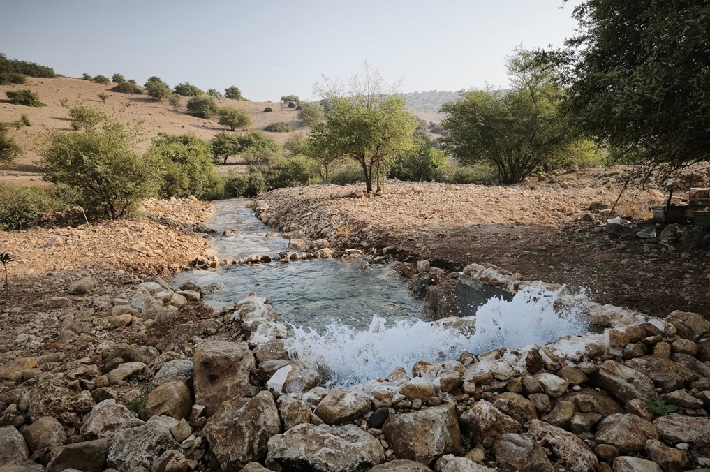 נחל צלמון חזר לחיים: נחל צלמון המוביל ההפוך - עין רביד