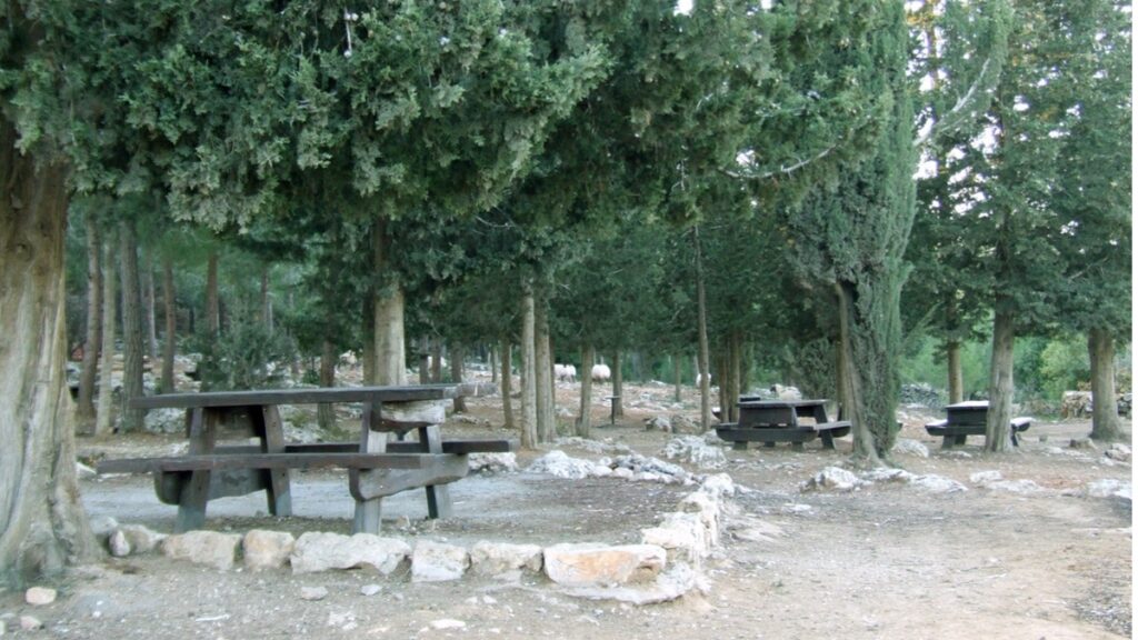 פיקניקטיול חורפי: מסלולים נוחים, נופים פתוחים ופינות פיקניק. פיקניק טיול בהרי יהודה צילום: ערן גל אור