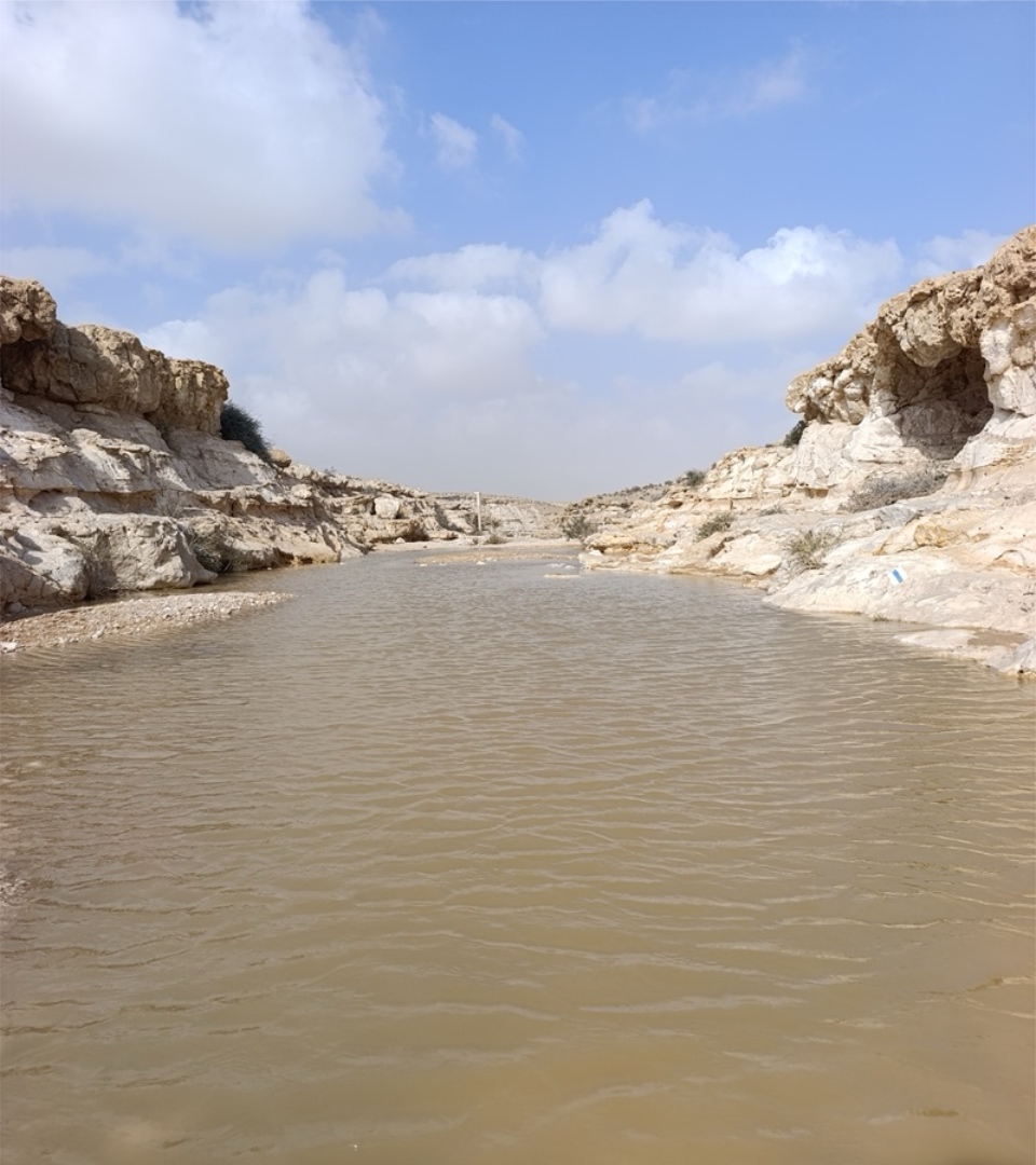 גבים במדבר אחרי השיטפונות: מסלולי מים קלים למשפחות עם ילדים - קבוצת גבים בחלקו העליון של נחל צין, מעל עין עבדת