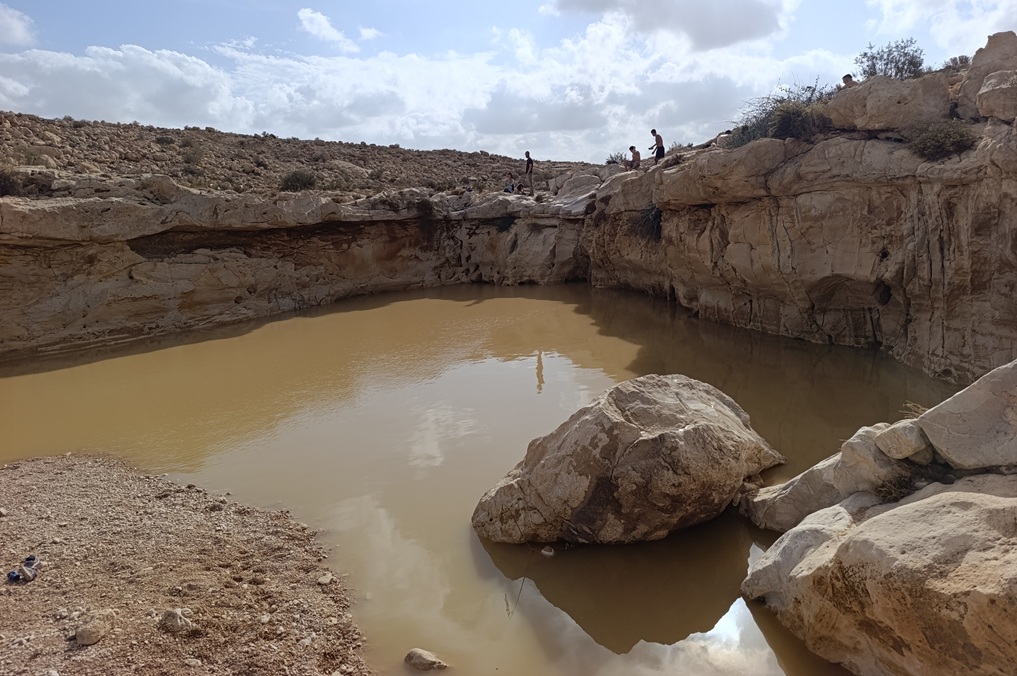 גבים במדבר אחרי השיטפונות: אחת מהבריכות במסלול מים בנחל צין