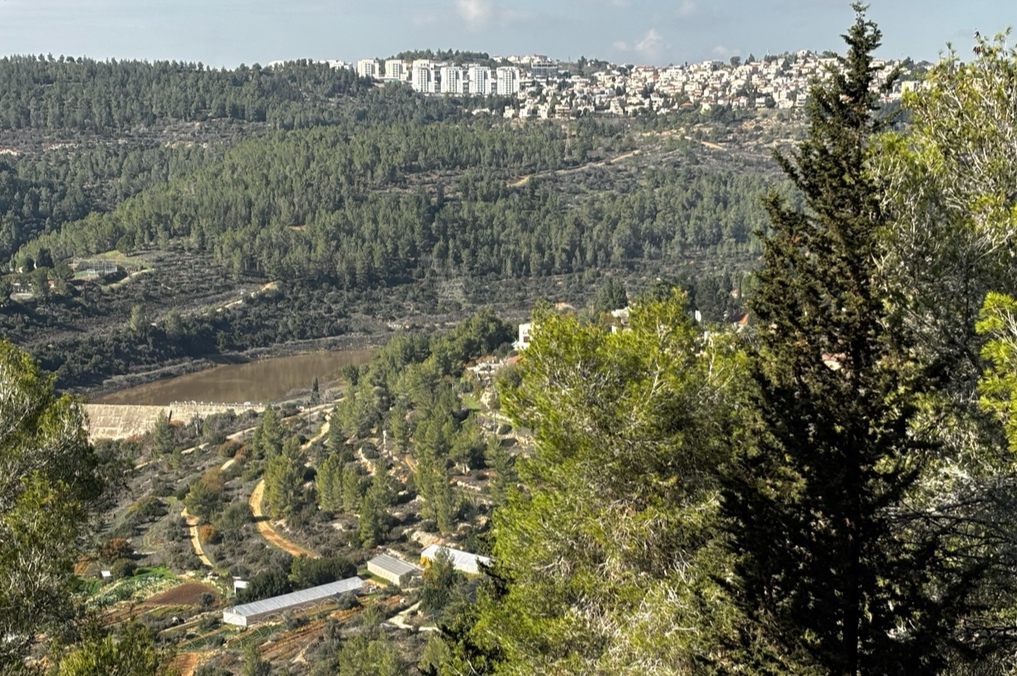 מצפור אבנר ביער ירושלים