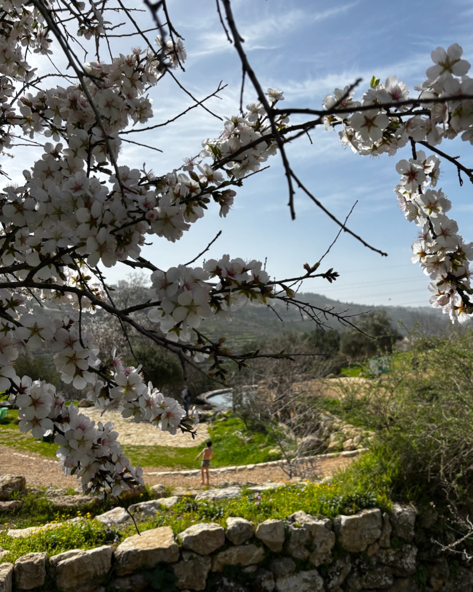 מסלולי חורף ברכס לבן - קטגוריה לאפליקציה