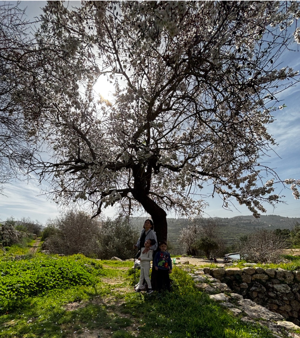 ירושלים ירוקה מתמיד: פריחה, מים ומעיינות ברכס לבן. צילום: דוד גל אור