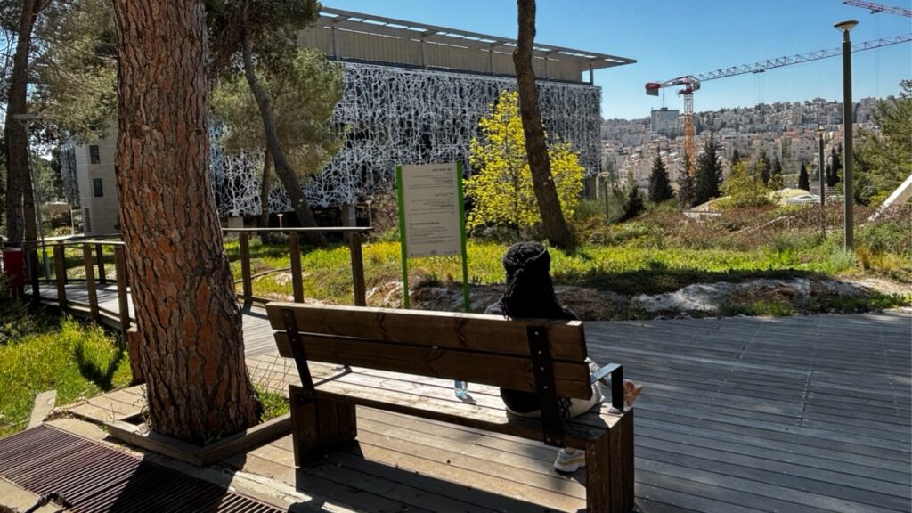 טבע בלב ירושלים - יושבים בספסלי תצפית בשבילי גבעת רם צילום: דוד גל-אור