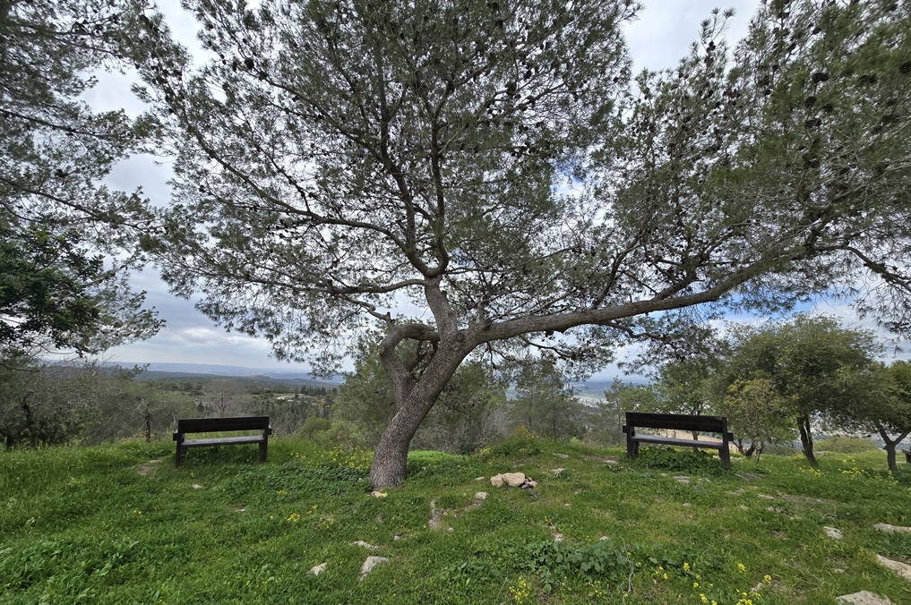 הר יעלה תצפית הספסלים