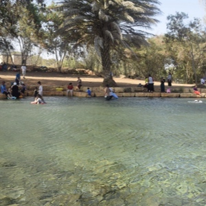 מעיינות מונגשים לקיץ לעמוד הבית המלצות