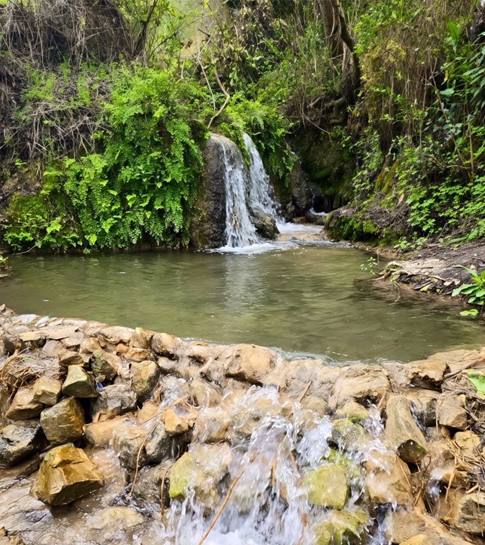 רמות מנשה מעיינות חדשים: המפל הנסתר בערוץ האולמוסים