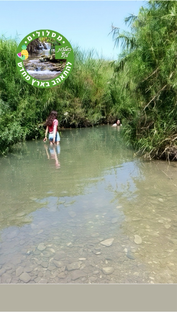 נחל תנינים המחודש: מסלולי מים ובריכות סודיות לעמוד הבית באפליקציה