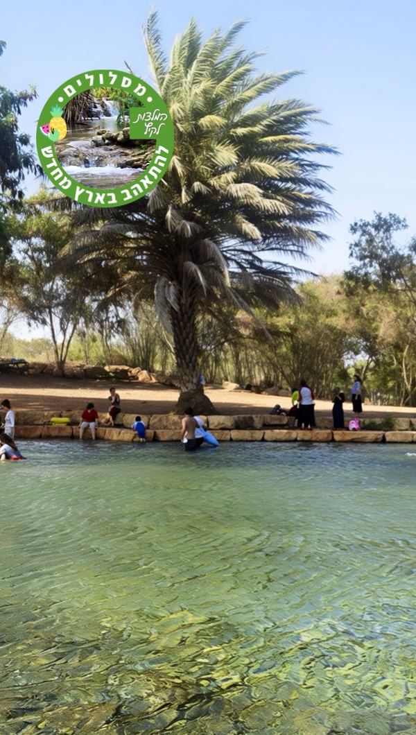 מעיינות מונגשים לקיץ לעמוד הבית באפליקציה 2
