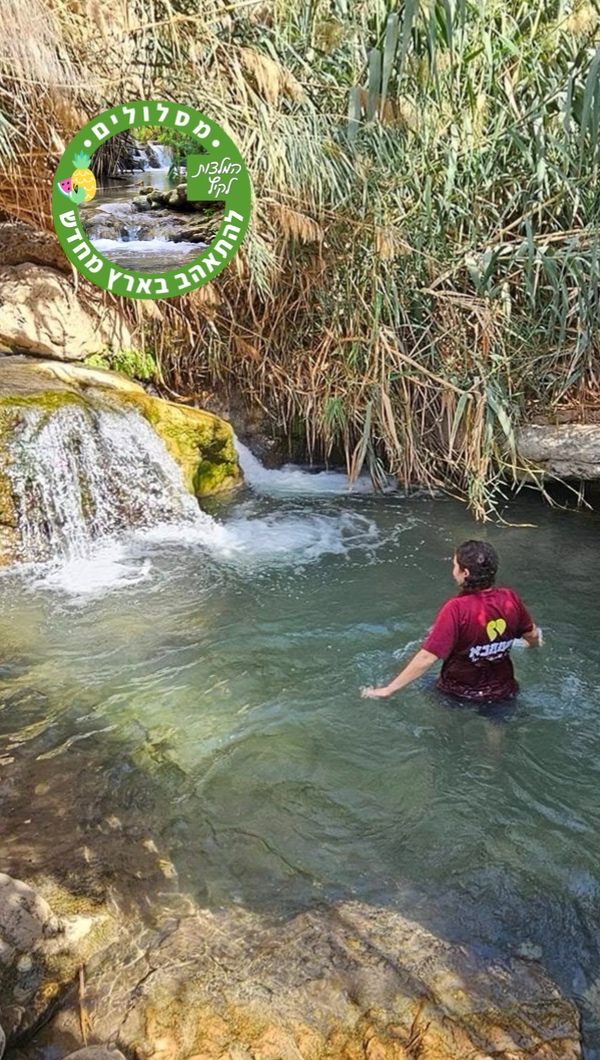מים צלולים בין המצוקים: נווה המדבר הקסום של נחל פרת לעמוד הבית באפליקציה
