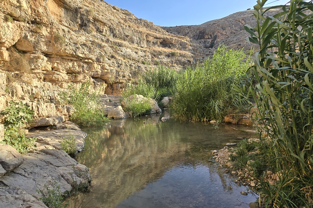 בריכות נחל פרת - נווה מדבר בין המצוקים