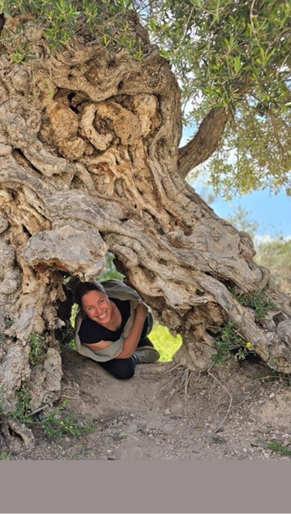 יוצאים מהסוכה אל הטבע לעמוד הבית באפליקציה