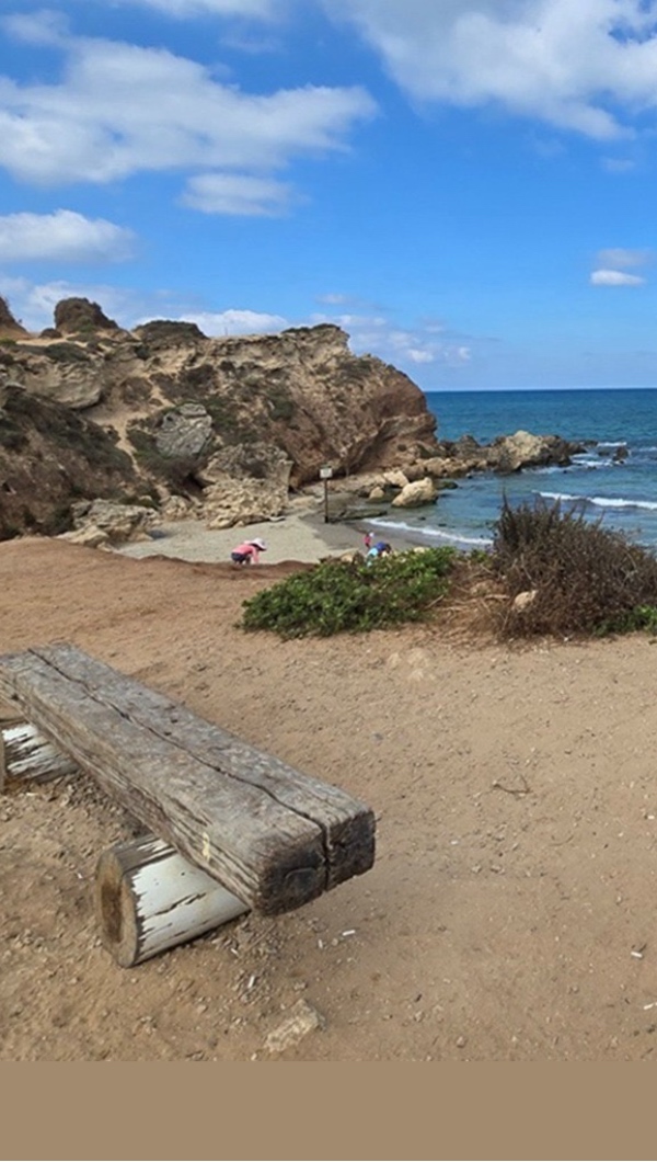 מרחבים, רוח ואופק לעמוד הבית באפליקציה