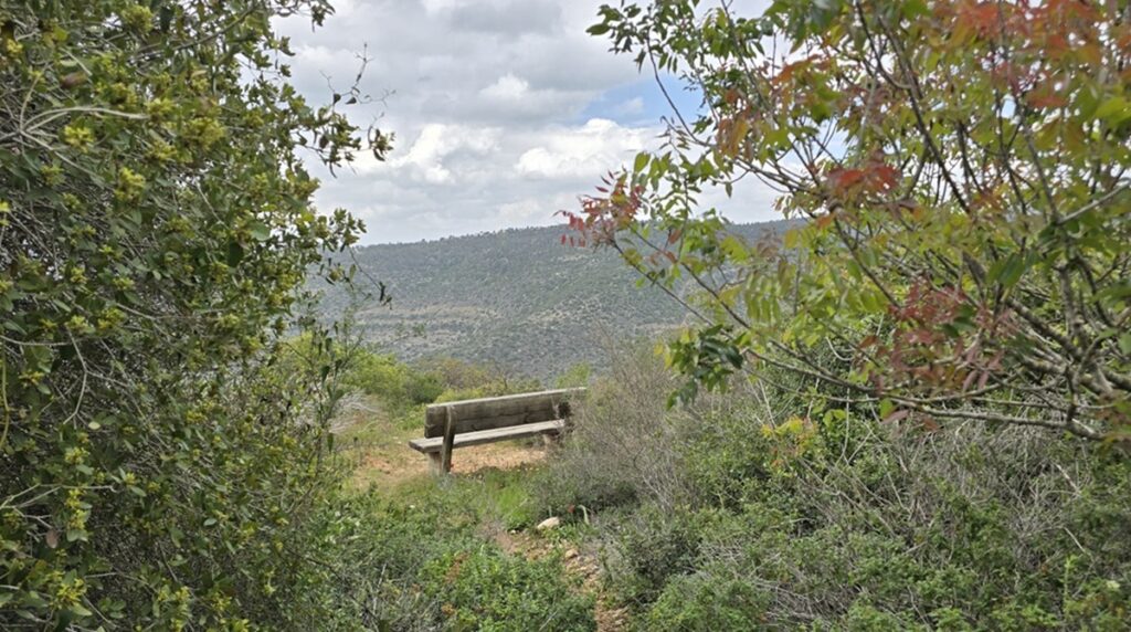 ספסל תצפית מומלץ ורומנטי מול נוף הרי יהודה והחורש הירוק