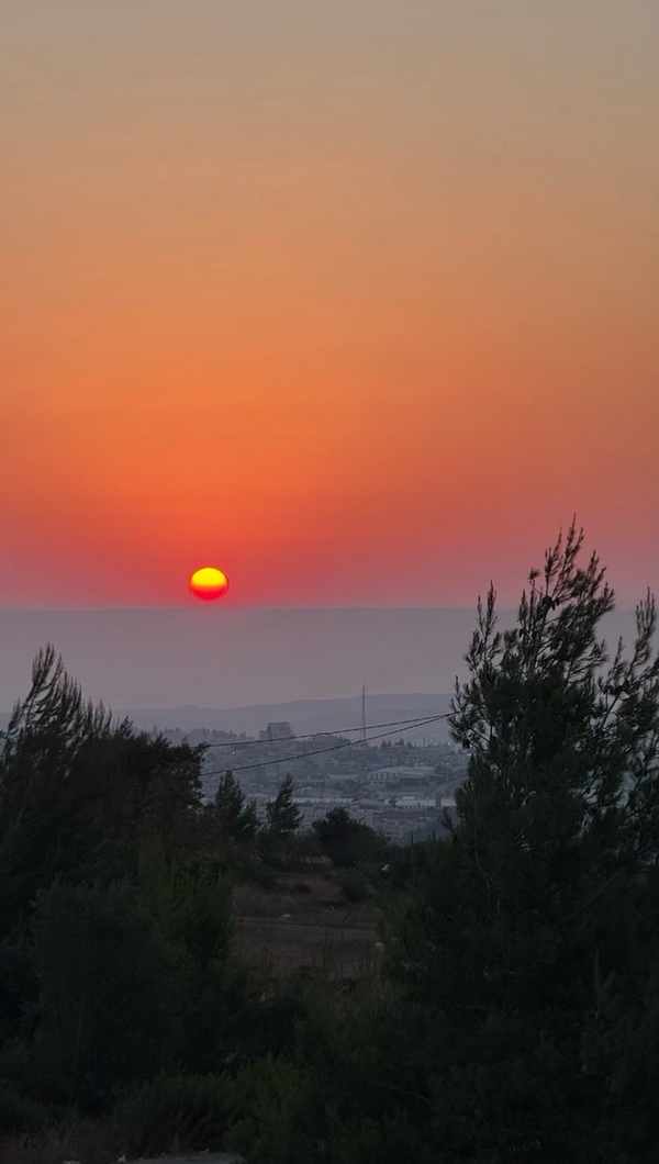 מצפור האלף נווה דניאל לעמוד הבית באפליקציה
