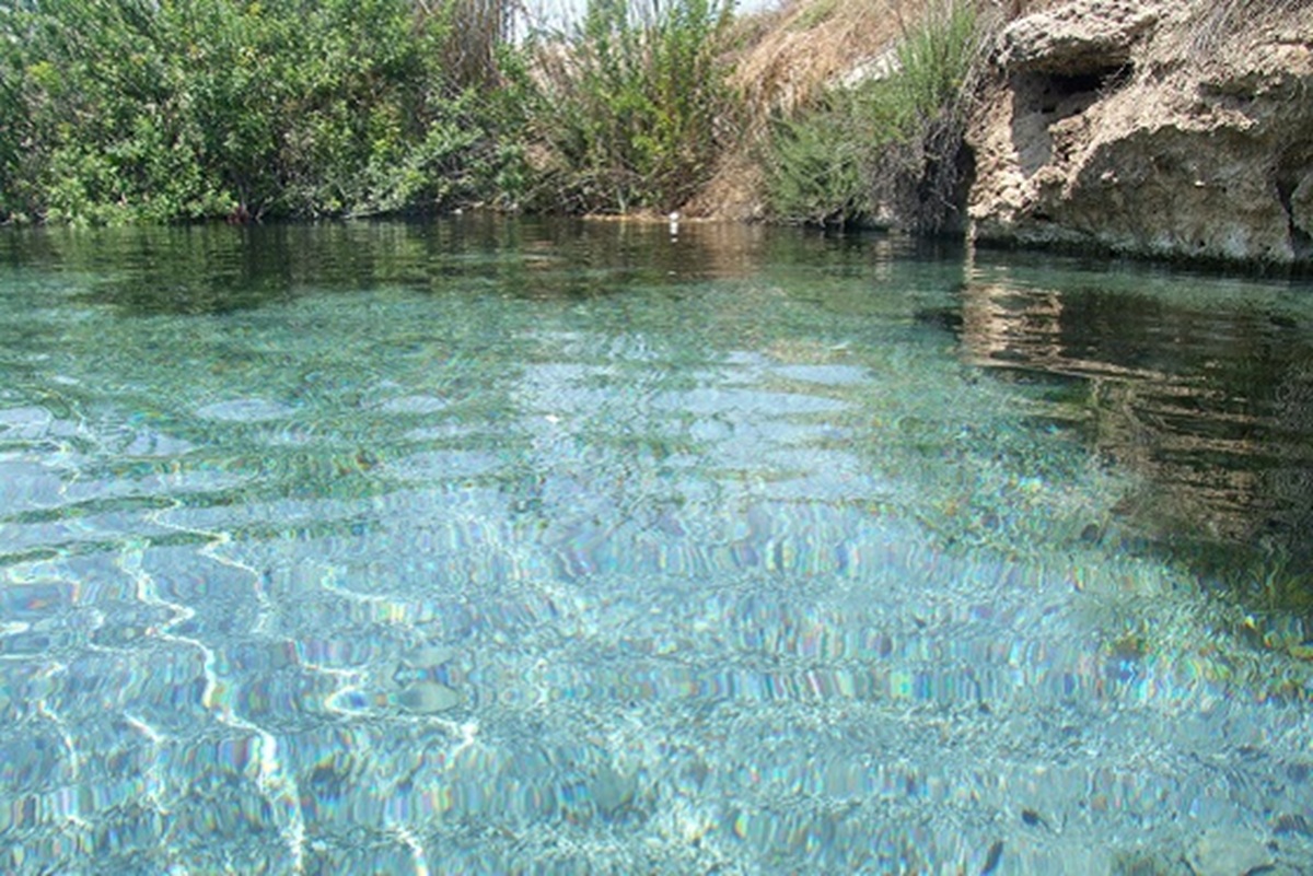 המעיינות הכי צלולים בארץ - מים שקופים כקריסטל בעין מגדל