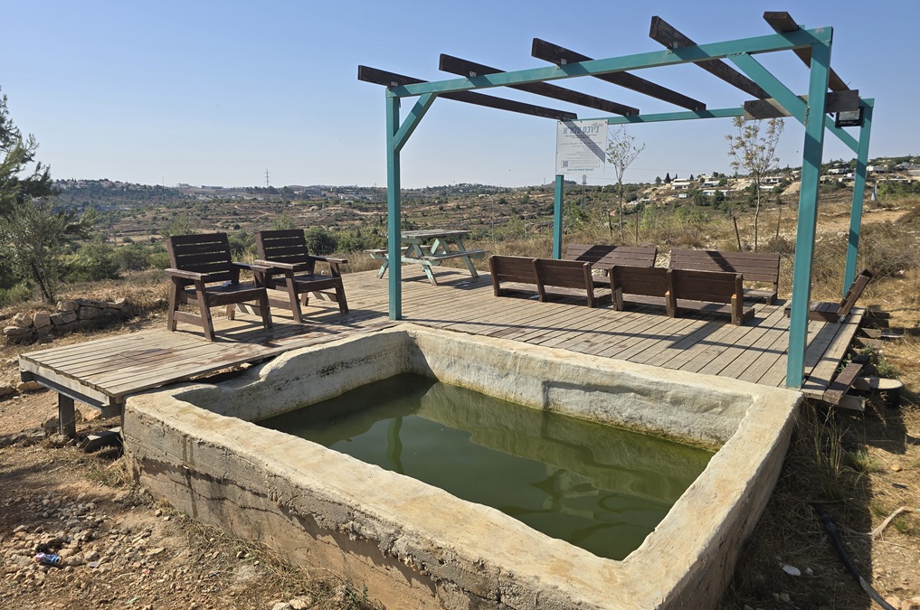 בריכת עלמא בגוש עציון – בריכת בטון מלאה מים צלולים לצד דק עץ ופרגולת צל מול הנוף